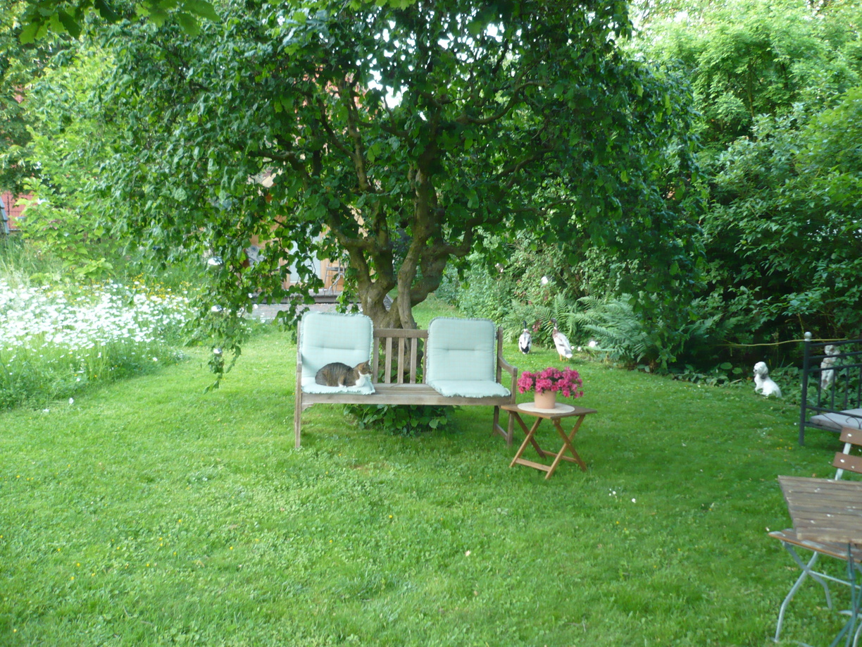 Sitzbank unter Baum